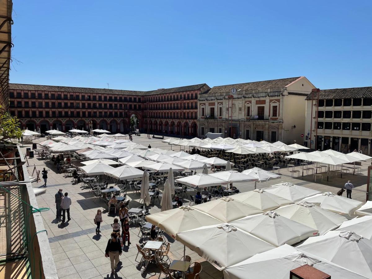La Despensa De La Corredera * Cordoba